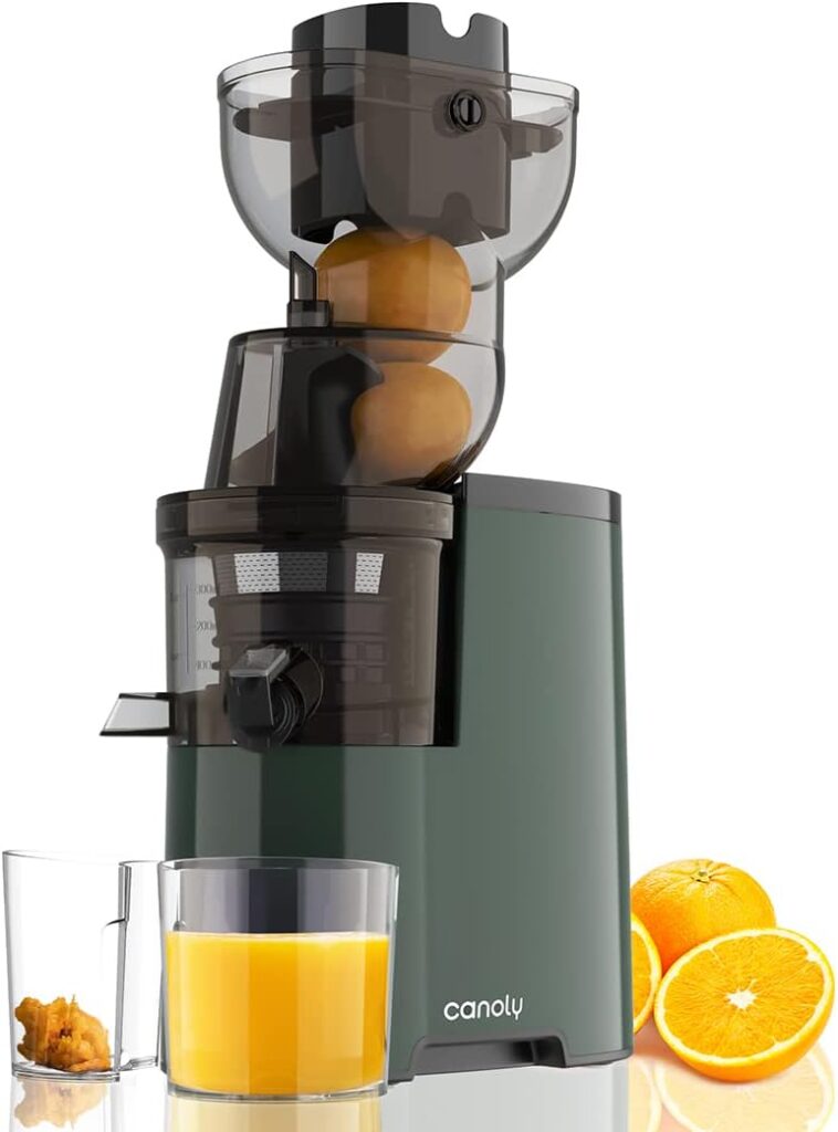 Masticating Juicer, 250W Professional Slow Juicer with 3.5-inch (88mm) Large Feed Chute for Nutrient Fruits and Vegetables, Cold Press Electric Juicer Machines with High Juice Yield, Easy Clean with Brush